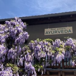 Four Pillars Ayurveda