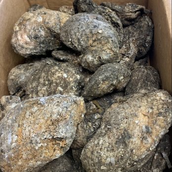 Lou's Crawfish - Live Oysters! - Seafood Markets Near Me - Jackson, Tennessee