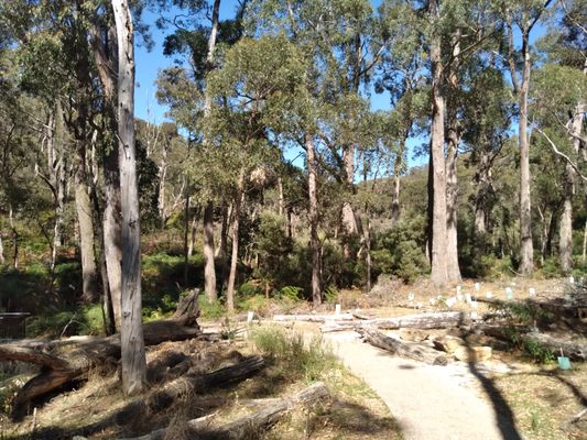 Cleland National Park by null