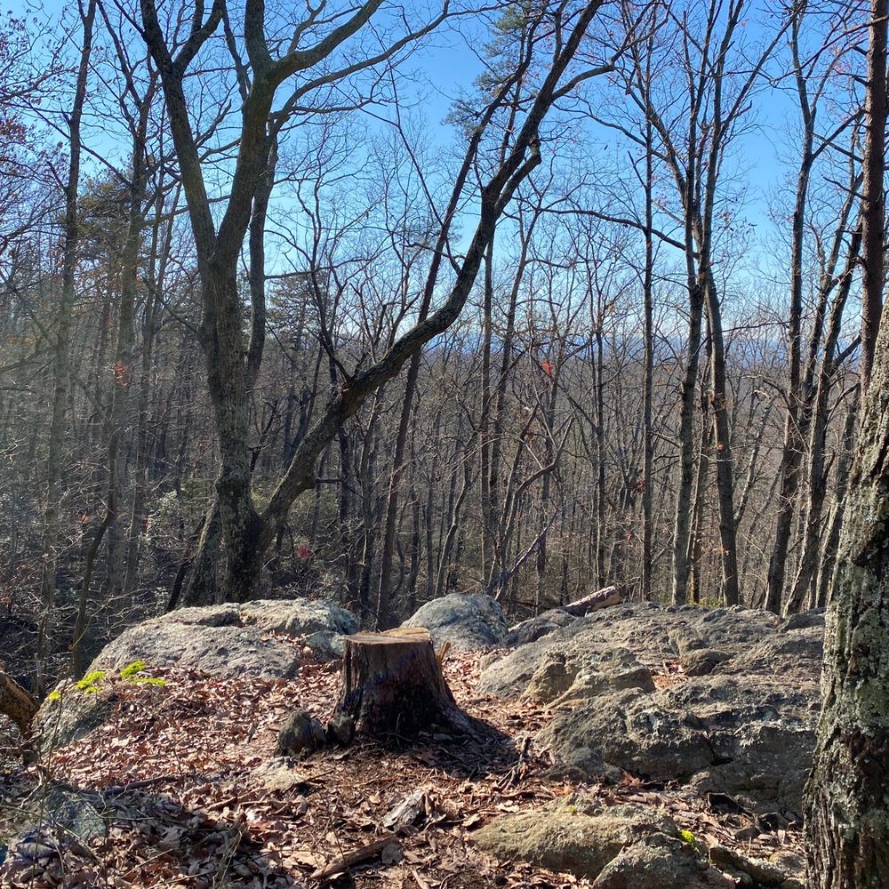 Bakers Mountain Park - Hiking Near Me - Hickory, North Carolina