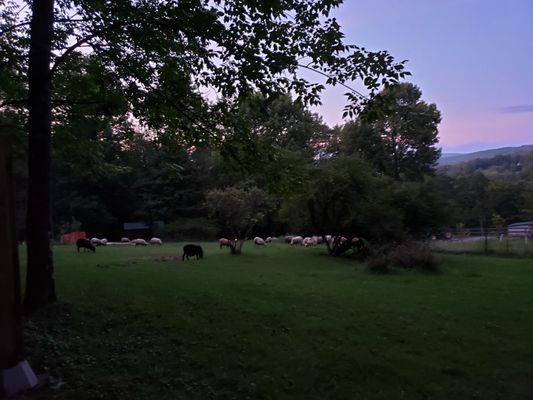 Bethel Pastures Farm Bed & Breakfast by null