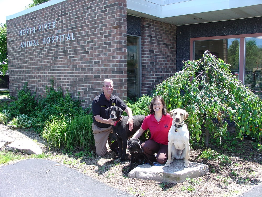 NORTH RIVER ANIMAL HOSPITAL Updated September 2024 2909 N River Rd