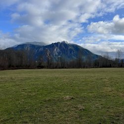 Three Forks Dog Park - Views today