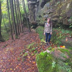 Sipsey Wilderness