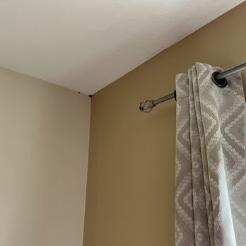 Hotel Nashville - Lady beetles in ceiling corner. - Hotels Near Me - Nashville, Indiana Hotel Nashville - Lady beetles in ceiling corner. - Hotels Near Me - Nashville, Indiana