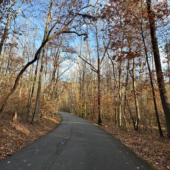 Kings Mountain State Park - Parks Near Me - Blacksburg, South Carolina Kings Mountain State Park - Parks Near Me - Blacksburg, South Carolina