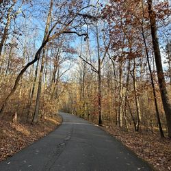 Kings Mountain State Park