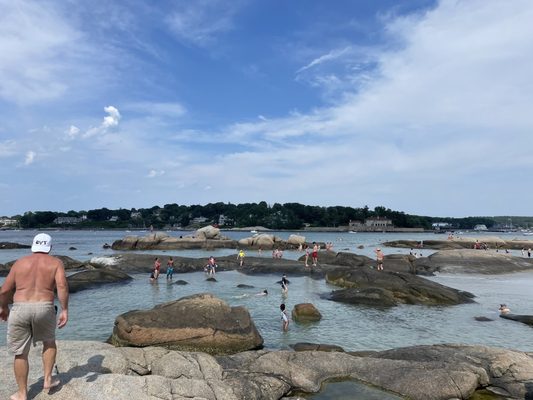 Wingaersheek Beach by null