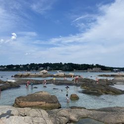 Wingaersheek Beach