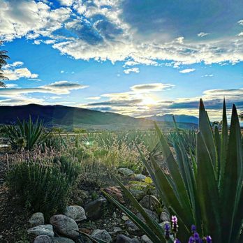 Casa Silencio - Amazing nature throughout the property. Remote area. - International Near Me - Xaagá, OAX