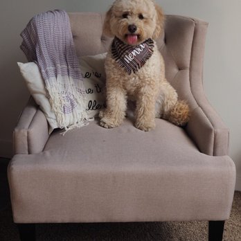 Rush Market - Furniture Stores Near Me - Omaha, Nebraska Rush Market - Furniture Stores Near Me - Omaha, Nebraska