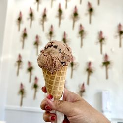 Nature's Organic Ice Cream - Chocolate Chip Ice Cream on a Waffle Cone