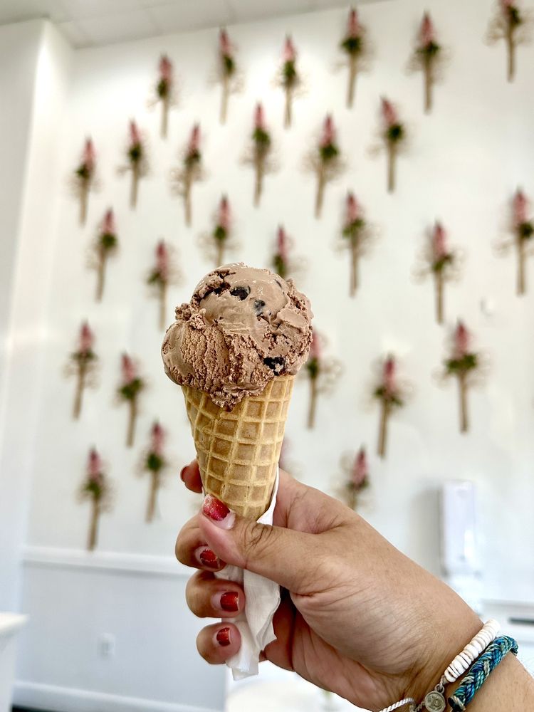 NATURE’S ORGANIC ICE CREAM Updated October 2024 297 Photos & 152