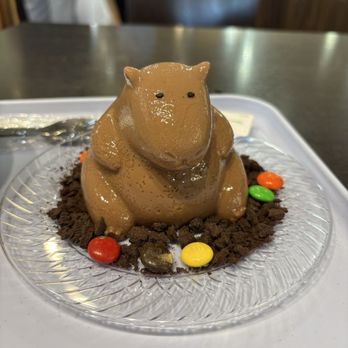 Coconut Paradise - Capybara chocolate banana pudding - Desserts Near Me - Carrollton, Texas Coconut Paradise - Capybara chocolate banana pudding - Desserts Near Me - Carrollton, Texas