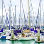 Photo of South Beach Harbor