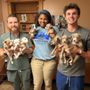 Normandy Animal Hospital