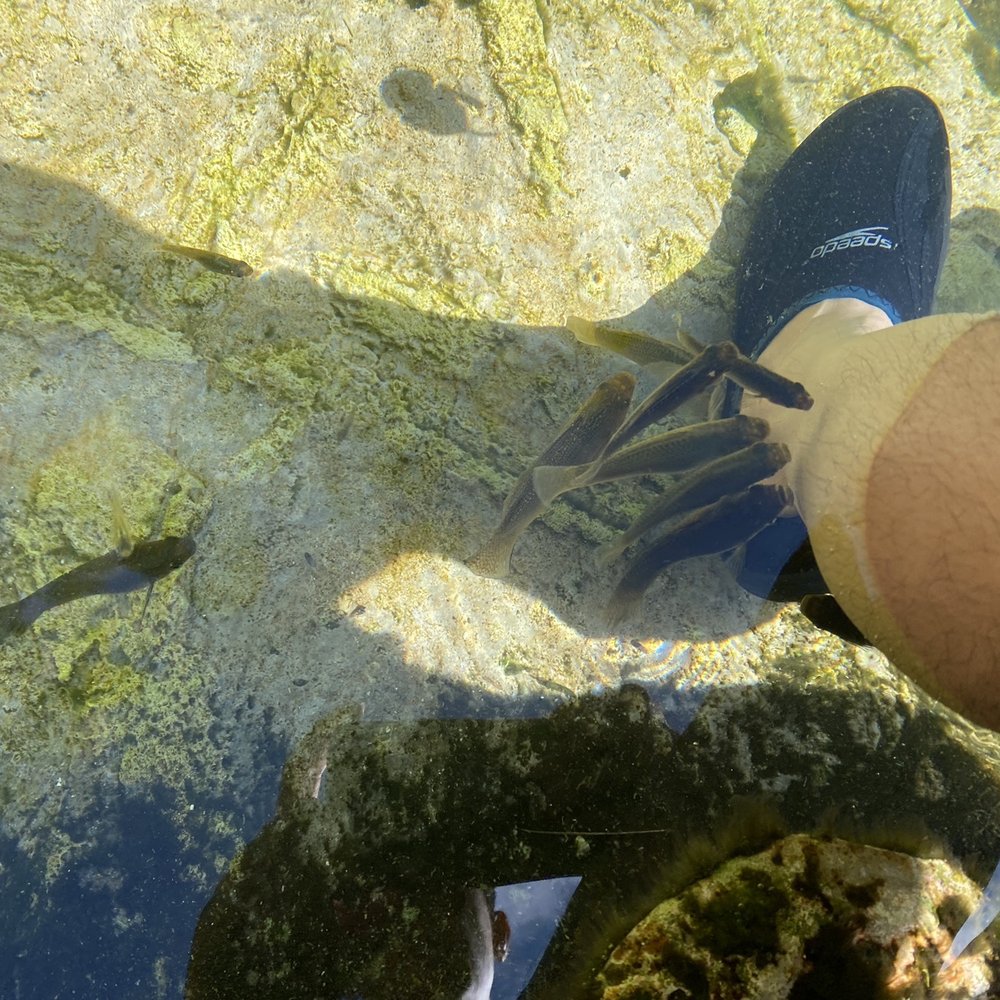 Cenote Azul - Dead skin eating fishes - Lakes Near Me - Chacalal, ROO