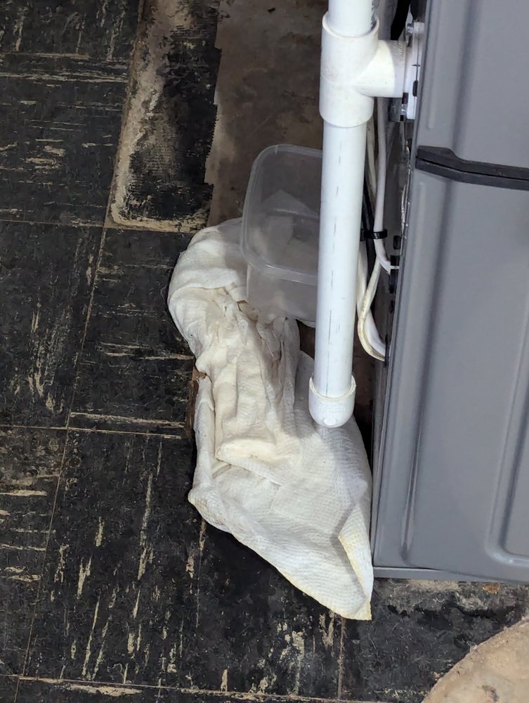 Slide of Michael & Son Services