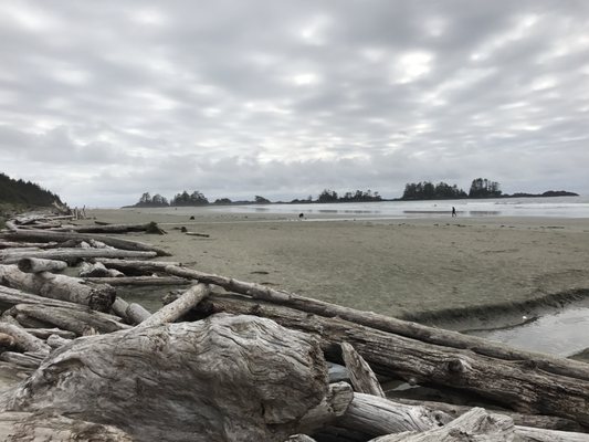 Chesterman Beach by null