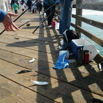 Oceanside Pier Bait Store - The bite is on at the pier - Outdoor Gear Near Me - Oceanside, California Oceanside Pier Bait Store - The bite is on at the pier - Outdoor Gear Near Me - Oceanside, California