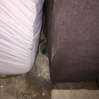 Public Storage - This was when I first found the rat next to the couch - Self Storage Near Me - Houston, Texas