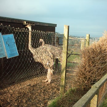 Welsh Mountain Zoo - Zoos Near Me - Colwyn Bay, CWY Welsh Mountain Zoo - Zoos Near Me - Colwyn Bay, CWY