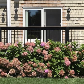Renewal By Andersen - Our beautiful new patio doors - outside view - Windows Installation Near Me - Cranford, New Jersey