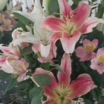 Posy Peddler - Florists Near Me - Escondido, California Posy Peddler - Florists Near Me - Escondido, California