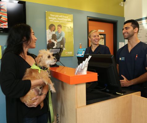 banfield waterford lakes