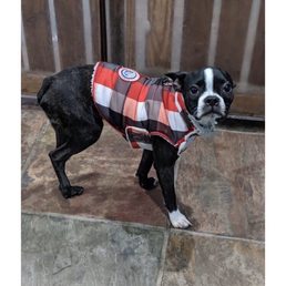 This was posted to their website as a pic of the day. He's on 3 legs & looks miserable, but wait... photo op!!!! This was posted to their website as a pic of the day. He's on 3 legs & looks miserable, but wait... photo op!!!!