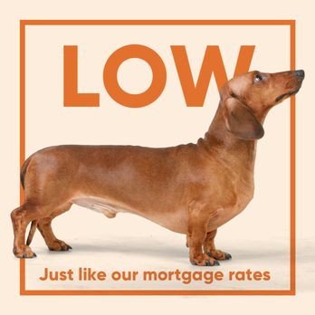 True North Mortgage - True North Mortgage - Mortgage Lenders Near Me - Calgary, Alberta True North Mortgage - True North Mortgage - Mortgage Lenders Near Me - Calgary, Alberta