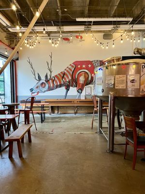 DC Brau by null