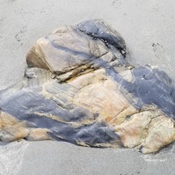 York Harbor Beach