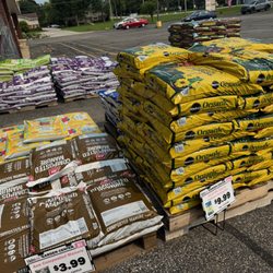 Ace Hardware