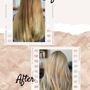 The Wash House Salon