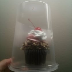 Kroger Family Center - Neopolitan cupcake