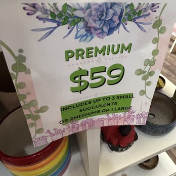 Zinks Town - Plant up to 3 plants in a premium sized pot with the works. - Art Galleries Near Me - Albuquerque, New Mexico