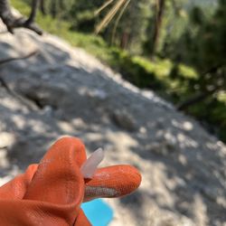 Tahoe Geology Tours