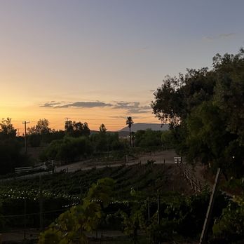 Vitagliano Winery - Wineries Near Me - Temecula, California Vitagliano Winery - Wineries Near Me - Temecula, California
