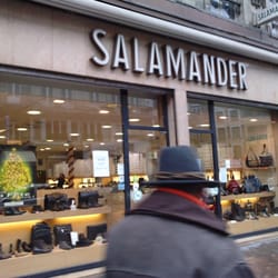 Salamander