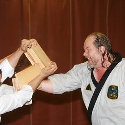 Dan Bluhm's Premier Martial Arts - Four Board Break