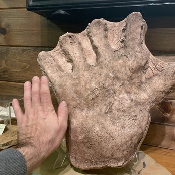 Expedition Bigfoot - Museums Near Me - Blue Ridge, Georgia