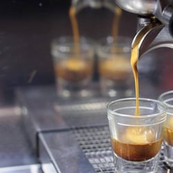 Cadence Coffee - Mayfly Trident Roast