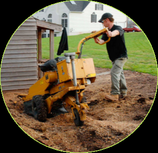 Ash Tree Service & Landscaping