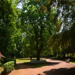 Parc Tournay Solvay - Markus Hofer, Pedestal for tree, installation view Tournay Solvay Parc copyright EES