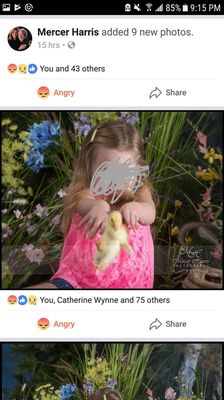 Harris Mercer Photography