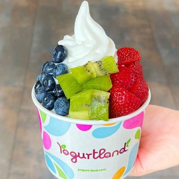 Yogurtland - Custom Frozen Yogurt Creation - Plain Tart with Fruit - Ice Cream & Frozen Yogurt Near Me - Culver City, California Yogurtland - Custom Frozen Yogurt Creation - Plain Tart with Fruit - Ice Cream & Frozen Yogurt Near Me - Culver City, California