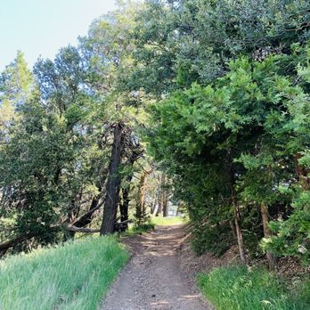 Volcan Mountain Preserve - Trails - Hiking Near Me - Julian, California Volcan Mountain Preserve - Trails - Hiking Near Me - Julian, California