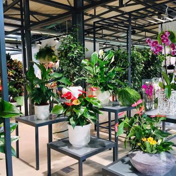 Horticultural Italia - Nurseries & Gardening Near Me - Rome, RM Horticultural Italia - Nurseries & Gardening Near Me - Rome, RM