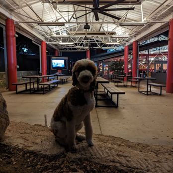 Torchy's Tacos - Pet friendly outdoor area - Tacos Near Me - Round Rock, Texas Torchy's Tacos - Pet friendly outdoor area - Tacos Near Me - Round Rock, Texas